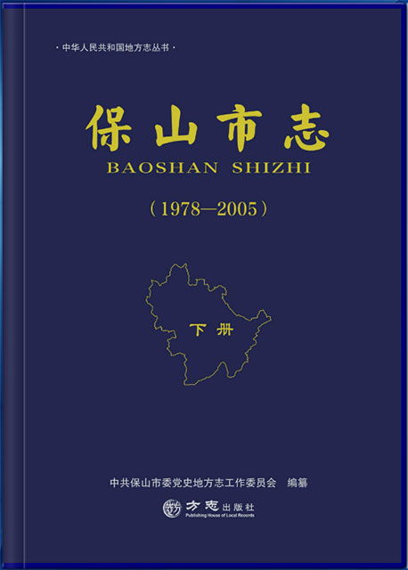 保山市志 下冊